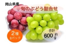 2025年 先行予約 岡山県産 旬のぶどう詰合せ 2種 2パック(シャインマスカット晴王 1房 約300g×1P、旬のぶどうお任せ 1房 約300g×1P)セット | フルーツ 果物 くだもの シャインマスカット マスカット 晴王 ブドウ ぶどう 葡萄 詰め合わせ 詰合せ お任せ 岡山 岡山県産 国産 ギフト プレゼント 贈答用 果物セット フルーツ詰合せ シャインマスカット マスカット 晴王 果物 フルーツ