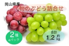 2025年 先行予約 岡山県産 旬のぶどう詰合せ 2種 4パック(シャインマスカット 晴王 1房 約300g×2P、旬のぶどうお任せ 1房 約300g×2P)セット | フルーツ 果物 くだもの シャインマスカット マスカット 晴王 ブドウ ぶどう 葡萄 詰め合わせ 詰合せ お任せ 岡山 岡山県産 国産 ギフト プレゼント 贈答用 果物セット フルーツ詰合せ シャインマスカット マスカット 晴王 果物 フルーツ