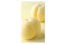 岡山県産 冬桃がたり ３個入り（約600ｇ）