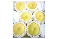 岡山県産 冬桃がたり 6個入り（約1200ｇ）