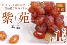 ぶどう 2025年 先行予約 紫苑 秀品 粒だけ 約1kg 岡山 国産 果物 フルーツ  2025年10月上旬から発送