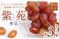 ぶどう 2025年 先行予約 紫苑 秀品 粒だけ 約3kg 岡山 国産 果物 フルーツ  2025年10月上旬から発送