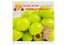 ぶどう 2025年 先行予約 シャインマスカット 秀品 粒だけ 約1kg   2025年6月下旬から発送 | フルーツ 果物 くだもの シャインマスカット マスカット 岡山県産 国産 ギフト 贈答用 プレゼント 贈り物 シャインマスカット マスカット フルーツ 果物 くだもの シャインマスカット マスカット
