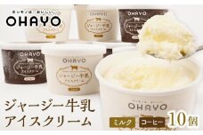 【お歳暮】オハヨー乳業 ジャージー牛乳アイスクリーム 120ml×10個（ミルク・コーヒー）ギフト