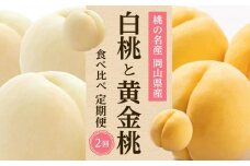 フルーツ 2025年先行予約 岡山県産 桃 食べ比べ 定期便 2回コース（白桃・黄金桃）