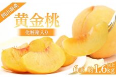 【2025年先行予約】 岡山県産 黄金桃 6玉 1.6kg以上 化粧箱入り
