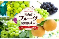 フルーツ  2025年先行予約 岡山県産 定期便 4回コース（シャインマスカット・ニューピオーネ・あたご梨等） | フルーツ 果物 くだもの ぶどう ブドウ シャインマスカット 梨 晴王 ニューピオーネ あたご梨 国産 岡山県産 食品 人気 おすすめ 送料無料 ギフト 贈り物 贈答品 プレゼント 果物 くだもの フルーツ ぶどう ブドウ シャインマスカット 晴王 ニューピオーネ あたご梨