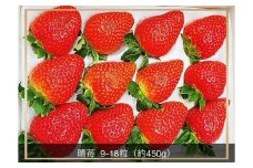 岡山市産 晴苺 9～18粒 約450g 化粧箱入り＜2024年12月中旬以降発送＞