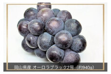 【2025年先行予約】岡山県産 オーロラブラック 2房 計約940g