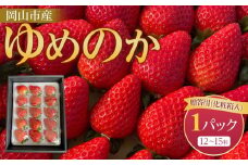 岡山市産「ゆめのか」12～15粒 450g×1パック 贈答用 化粧箱入り＜北海道・沖縄県・離島配送不可＞