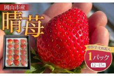 岡山市産「晴苺」12～15粒 450g×1パック 贈答用 化粧箱入り＜北海道・沖縄県・離島配送不可＞