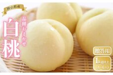 桃 2025年 先行予約 岡山県産 贈答用 白桃 1kg以上（4～6玉） 品種おまかせ＜6月下旬以降発送＞