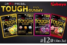カバヤ　タフグミ 4種×3袋 計12袋（タフグミ・グレーピーパンチ・レモンラッシュ・梅マニア）＜集中したい時に食べたいグミブランドNo.1＞