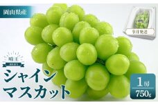 2025年　先行予約　受付中　シャインマスカット　晴王　１房　約750g　【岡山県産 種無し 皮ごと食べる みずみずしい 甘い フレッシュ 9月～10月発送 晴れの国 おかやま ぶどう 葡萄 マスカット 果物大国 彩美菜果 岡山県 岡山市 おすすめ 人気】