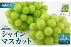 2025年　先行予約　受付中　シャインマスカット　晴王　2房　約1.3kg　【岡山県産 種無し 皮ごと食べる みずみずしい 甘い フレッシュ 9月～10月発送 晴れの国 おかやま ぶどう 葡萄 マスカット 果物大国 彩美菜果 岡山県 岡山市 おすすめ 人気】