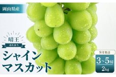 2025年　先行予約　受付中　シャインマスカット　晴王　約2kg（3～5房）【岡山県産 種無し 皮ごと食べる みずみずしい 甘い フレッシュ 9月～10月発送 晴れの国 おかやま ぶどう 葡萄 マスカット 果物大国 彩美菜果  岡山県 岡山市 おすすめ 人気】