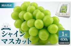 2025年　先行予約　受付中　シャインマスカット　晴王　１房　約650ｇ　２回　定期便　9月・10月に1回ずつ発送　【岡山県産 種無し 皮ごと食べる みずみずしい 甘い フレッシュ 9月～10月発送 晴れの国 おかやま ぶどう 葡萄 マスカット 果物大国 彩美菜果 岡山県 岡山市 おすすめ 人気】