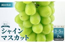 2025年　先行予約　受付中　シャインマスカット　晴王　約2kg（3～5房）　２回　定期便　　9月・10月に1回ずつ発送　【岡山県産 種無し 皮ごと食べる みずみずしい 甘い フレッシュ 9月～10月発送 晴れの国 おかやま ぶどう 葡萄 マスカット 果物大国 彩美菜果 岡山県 岡山市 おすすめ 人気】