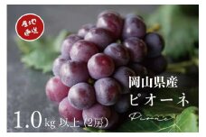 厳選 ニューピオーネ 2房 合計1.0kg以上 産地直送 朝採れ ぶどう 葡萄 Kawahara Green Farm 岡山県産 2025年