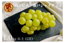 訳あり 瀬戸ジャイアンツ　2房 合計1.0kg以上 産地直送 朝採れ ぶどう 葡萄 岡山 Kawahara Green Farm　岡山県産 2025