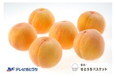 【2025年発送】黄金桃（ご家庭用）約１．９ｋｇ（６～９玉入り）