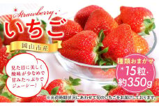 岡山市産 いちご 15粒（約350g）種類おまかせ