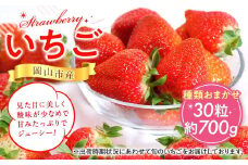 岡山市産いちご 30粒（約700g）種類おまかせ