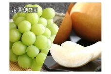 【定期便2回】シャインマスカット 1房 約600g（9月発送）・ 新高梨 4～5玉 約2.5kg（10月発送） | フルーツ 果物 くだもの シャインマスカット マスカット 葡萄 ぶどう ブドウ 梨 なし ナシ 新高梨 岡山県産 国産 ギフト 贈答用 プレゼント シャインマスカット 梨 なし ナシ 新高梨 フルーツ 果物