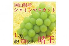 [HS]ぶどう 2025年 先行予約 9月・10月発送 シャイン マスカット 晴王 1房 約700g  | シャインマスカット シャイン マスカット 果物 フルーツ 新鮮 ブドウ 葡萄  岡山 国産 ギフト おすすめ 人気