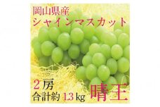 [HS]ぶどう 2025年 先行予約 9月・10月発送 シャイン マスカット 晴王 2房（合計約1.3kg）  | シャインマスカット シャイン マスカット 果物 フルーツ 新鮮 ブドウ 葡萄  岡山 国産 ギフト おすすめ 人気