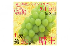 [HS]【定期便 全2回】ぶどう 2025年 先行予約 9月・10月発送 シャイン マスカット 晴王 1房 約650g  | シャインマスカット シャイン マスカット 果物 フルーツ 新鮮 ブドウ 葡萄  岡山 国産 ギフト おすすめ 人気