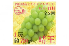 [HS]【定期便 全2回】ぶどう 2025年 先行予約 9月・10月発送 シャイン マスカット 晴王 1房 約700g  | シャインマスカット シャイン マスカット 果物 フルーツ 新鮮 ブドウ 葡萄  岡山 国産 ギフト おすすめ 人気