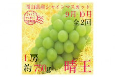 [HS]【定期便 全2回】ぶどう 2025年 先行予約 9月・10月発送 シャイン マスカット 晴王 1房 約750g  | シャインマスカット シャイン マスカット 果物 フルーツ 新鮮 ブドウ 葡萄  岡山 国産 ギフト おすすめ 人気