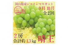 [HS]【定期便 全2回】ぶどう 2025年 先行予約 9月・10月発送 シャイン マスカット 晴王 2房（合計約1.3kg）  | シャインマスカット シャイン マスカット 果物 フルーツ 新鮮 ブドウ 葡萄  岡山 国産 ギフト おすすめ 人気