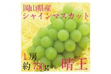 [HS]ぶどう 2025年 先行予約 9月・10月発送 シャイン マスカット 晴王 1房 約750g  | シャインマスカット シャイン マスカット 果物 フルーツ 新鮮 ブドウ 葡萄  岡山 国産 ギフト おすすめ 人気
