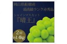 [HS]ぶどう 2025年 先行予約 9月・10月発送 最高級品シャイン マスカット 晴王 2房 〈合計約1.4kg〉 ブドウ 葡萄  岡山県産 船穂産 フルーツ 果物 ギフト