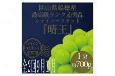 [HS]【定期便 全2回】ぶどう 2025年 先行予約 9月・10月発送 最高級品シャイン マスカット 晴王 1房 約700g  | シャインマスカット シャイン マスカット 果物 フルーツ 新鮮 ブドウ 葡萄  岡山 国産 ギフト おすすめ 人気