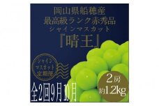[HS]【定期便 全2回】ぶどう 2025年 先行予約 9月・10月発送 最高級品シャイン マスカット 晴王 2房 〈合計約1.2kg〉 | シャインマスカット シャイン マスカット 果物 フルーツ 新鮮 ブドウ 葡萄  岡山 国産 ギフト おすすめ 人気