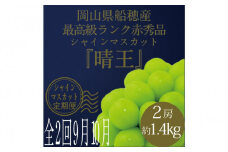 [HS]【定期便 全2回】ぶどう 2025年 先行予約 9月・10月発送 最高級品シャイン マスカット 晴王 2房 〈合計約1.4kg〉 ブドウ 葡萄  岡山県産船穂産 フルーツ 果物 ギフト