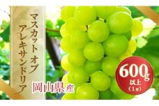 《2025年発送》岡山県産 マスカットオブアレキサンドリア 600g以上 1房