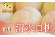《2025年発送》岡山県産 清水白桃 1.5kg 5～7玉