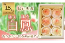 《2025年発送》岡山県産 桃 白鳳 1.5kg 5～7玉