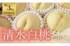 《2025年発送》岡山県産 清水白桃 約3kg 9～12玉