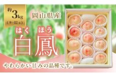 《2025年発送》岡山県産 桃 白鳳 約3kg 9～12玉