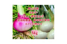 【先行予約】岡山市産 みずみずしい玉ねぎ2.5kgと赤玉ねぎ2.5kgのセット(サイズ混合)