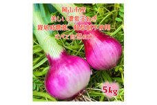 【先行予約】岡山市産 赤紫玉ねぎ5kg(サイズ混合)栽培期間中農薬・除草剤不使用自然の力健康野菜