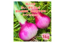 【先行予約】岡山市産 赤紫玉ねぎ3kg(サイズ混合)栽培期間中農薬・除草剤不使用自然の力健康野菜