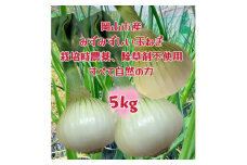 【先行予約】岡山市産 玉ねぎ5kg(サイズ混合)栽培期間中農薬・除草剤不使用全て自然の力健康野菜