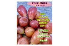 ぶどう 2025年 先行予約 マイハート 秀品 粒だけ 約2kg 岡山 国産 果物 フルーツ  2025年8月中旬から発送