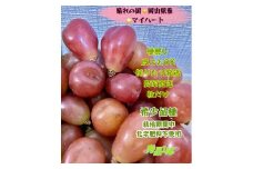 ぶどう 2025年 先行予約 マイハート 秀品 粒だけ 約1kg 岡山 国産 果物 フルーツ  2025年8月中旬から発送
